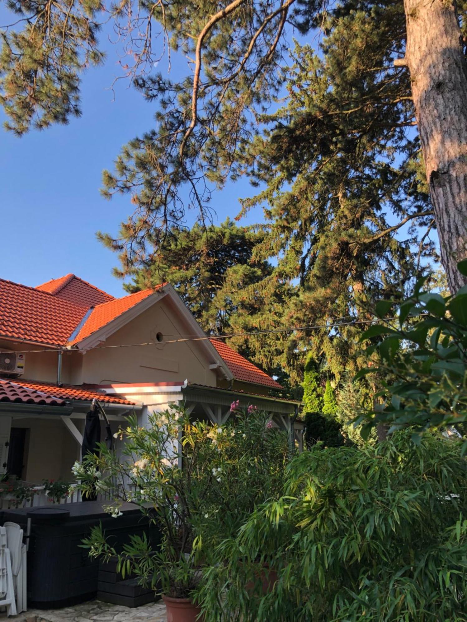 Hotel Szem-S Vendeghaz Balatonszárszó Exterior foto